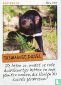 Australië - Tasmaanse duivel - Afbeelding 1