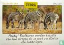 Zuid-Afrika - Zebra - Afbeelding 1