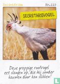 Zuid-Afrika - Secretarisvogel - Afbeelding 1
