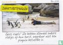 Zuid-Afrika - Zwartvoetpinguïn  - Bild 1
