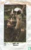 9 Bril Uil - Bild 1