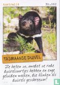 Australië - Tasmaanse duivel  - Afbeelding 1