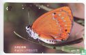 Orange Butterfly - Image 1