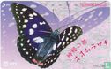 Butterfly - Afbeelding 1