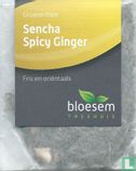 Sencha Spicy Ginger - Image 1