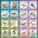 Birds and bird trapping - Image 1