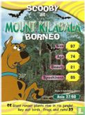 Scooby at Mount Kilabala Borneo - Bild 1
