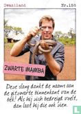 Swaziland - Zwarte mamba - Afbeelding 1