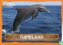 Tuimelaar - Bild 1