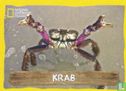 Krab - Afbeelding 1