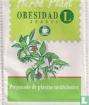 Obesidad L