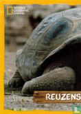 Reuzenschildpad - Image 1
