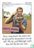 Swaziland - Zwarte mamba  - Bild 1