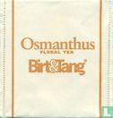 Osmanthus - Bild 1