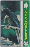 The Black Parrot of Praslin - Bild 1