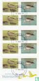 Waterfowl - Image 2