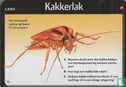 Kakkerlak