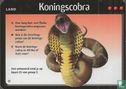Koningscobra