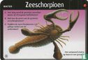 Zeeschorpioen
