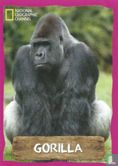 Gorilla - Bild 1