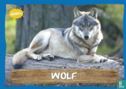 Wolf - Afbeelding 1