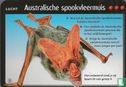 Australische spookvleermuis