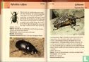 Winkler Prins insecten - Bild 3