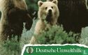 Deutsche Umwelthilfe : Braunbären-Familie - Puzzle 2/2 - Bild 2