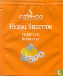 Herbal Selection - Bild 1