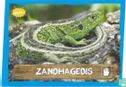 Zandhagedis - Image 1