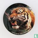 Tijger - Image 1