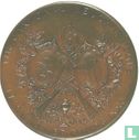 Switzerland  Shooting Medal - Tir Cantonal Neuchatelois  1886 - Image 1