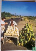 Coconut Seller, Mangochi - Afbeelding 1