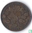 Nova Scotia 1 penny 1856 - Afbeelding 2