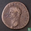 L'Empire romain, Claude 41-54 apr. J.-C., comme, AE, Rome, 41-42 AD  - Image 1