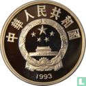 China 10 yuan 1993 (PROOF) "Centenary of the Modern Olympic Games - Fencing" - Afbeelding 1