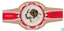 Saint Bernard Dog - Image 1