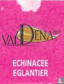 Echinacee-Eglantier  - Bild 3