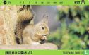 Squirrel in Noda Shimizu Park - Afbeelding 1