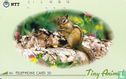 "Tiny Animal" - Chipmunk - Bild 1