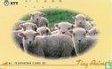 Tiny Animals - Sheep - Image 1
