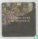 London Pride / Hysteria over our wisteria - Image 1