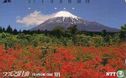 Mt. Fuji Autmn - Flower & Mt. Fuji series III - Afbeelding 1