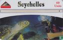 Hawksbill SeaTurtle - Afbeelding 1