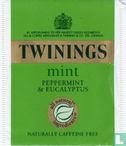 mint Peppermint & Eucalyptus - Image 1
