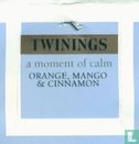 Orange, Mango & Cinnamon - Afbeelding 3