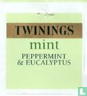 mint Peppermint & Eucalyptus - Image 3