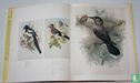 John Gould's Birds of Great Britain - Image 3