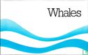 Whales - Image 1