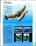 Baleines - Image 2